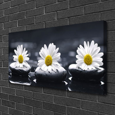 Schilderij op canvas Daisy stones plant