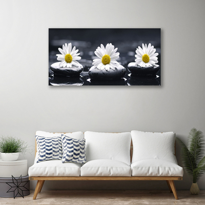 Schilderij op canvas Daisy stones plant