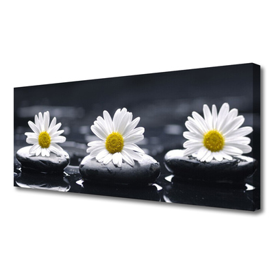 Schilderij op canvas Daisy stones plant