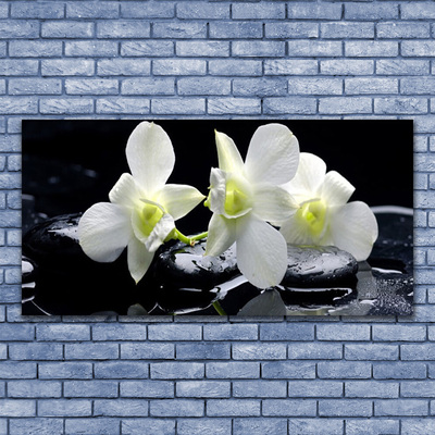Schilderij op canvas Witte orchidee bloem