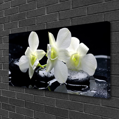 Schilderij op canvas Witte orchidee bloem
