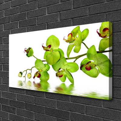 Schilderij op canvas Bloemen plant nature