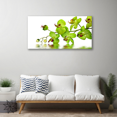 Schilderij op canvas Bloemen plant nature