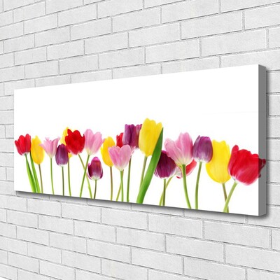 Schilderij op canvas Tulpen bloemen plant