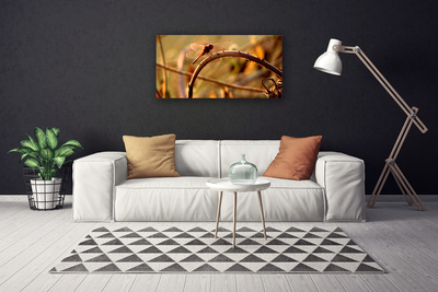 Schilderij op canvas Dragonfly natuur plant