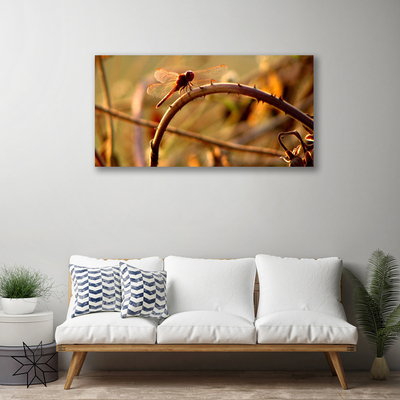 Schilderij op canvas Dragonfly natuur plant