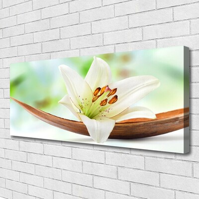 Schilderij op canvas Natuur bloem plant