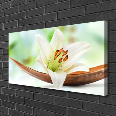 Schilderij op canvas Natuur bloem plant