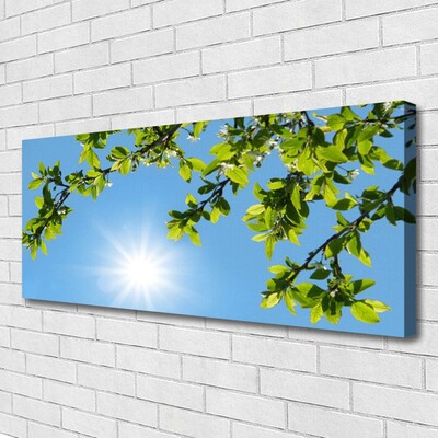 Schilderij op canvas Zon natuur