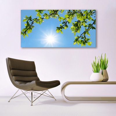 Schilderij op canvas Zon natuur