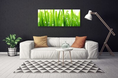 Schilderij op canvas Grass nature plant