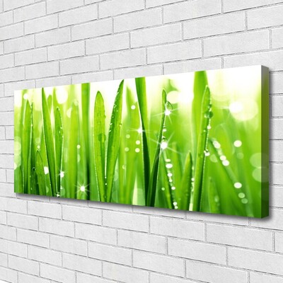 Schilderij op canvas Grass nature plant