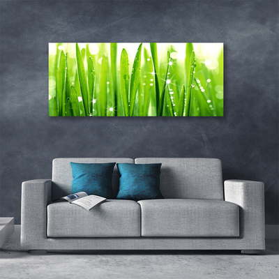 Schilderij op canvas Grass nature plant