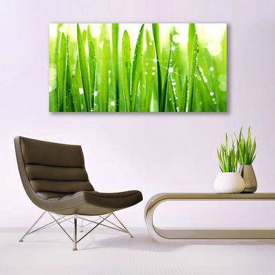 Schilderij op canvas Grass nature plant