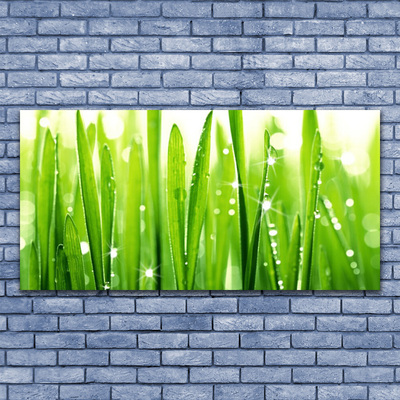 Schilderij op canvas Grass nature plant