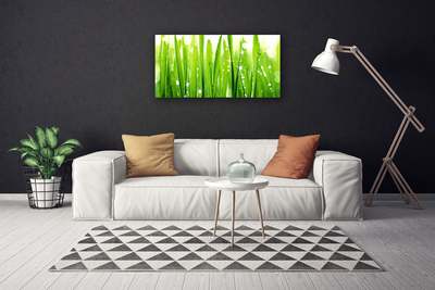 Schilderij op canvas Grass nature plant