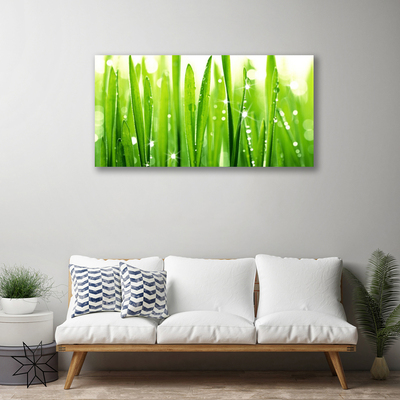 Schilderij op canvas Grass nature plant