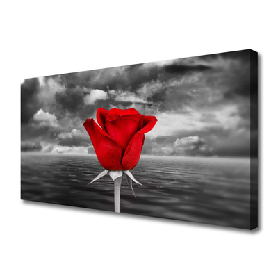 Schilderij op canvas Rose flower plant zee
