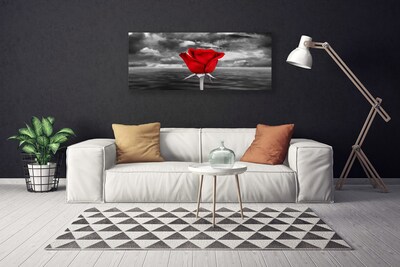 Schilderij op canvas Rose flower plant zee