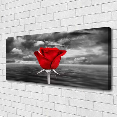 Schilderij op canvas Rose flower plant zee