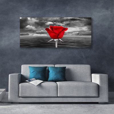 Schilderij op canvas Rose flower plant zee