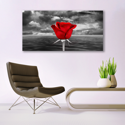 Schilderij op canvas Rose flower plant zee