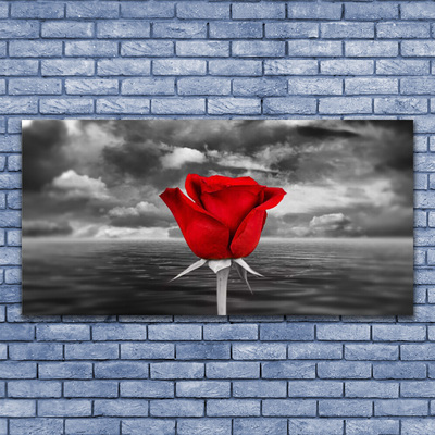 Schilderij op canvas Rose flower plant zee