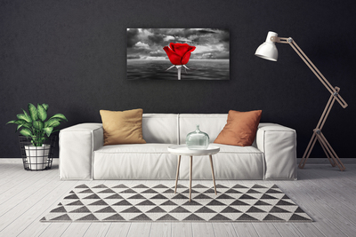 Schilderij op canvas Rose flower plant zee
