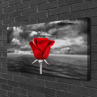 Schilderij op canvas Rose flower plant zee