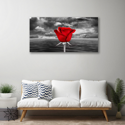 Schilderij op canvas Rose flower plant zee