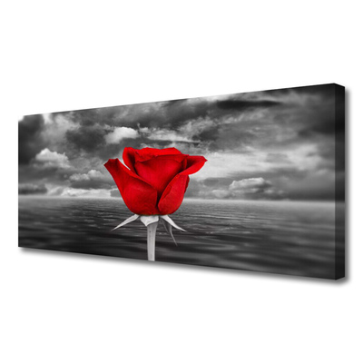 Schilderij op canvas Rose flower plant zee