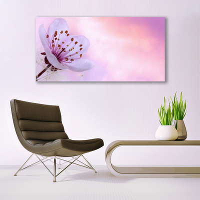 Schilderij op canvas Natuur bloem plant