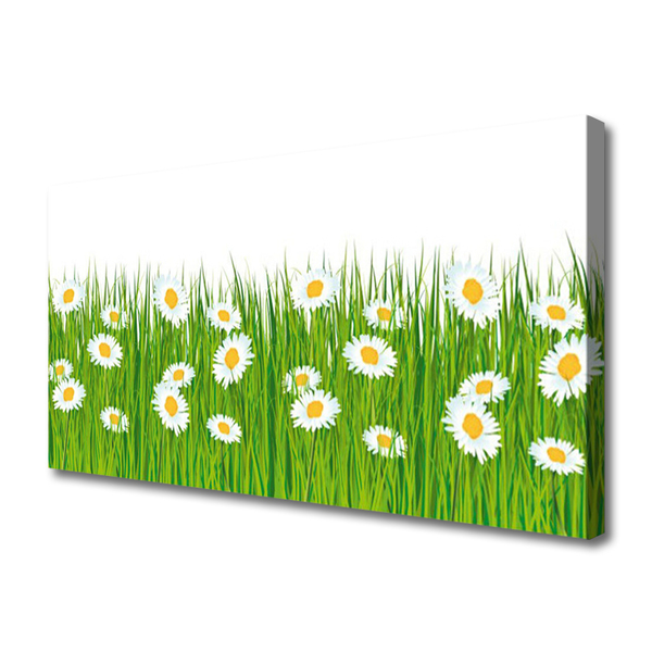 Schilderij op canvas Grass daisies nature