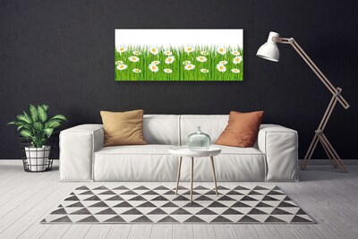 Schilderij op canvas Grass daisies nature