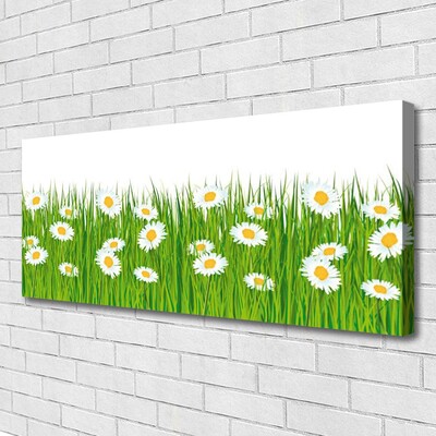 Schilderij op canvas Grass daisies nature