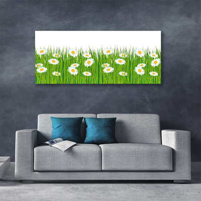 Schilderij op canvas Grass daisies nature