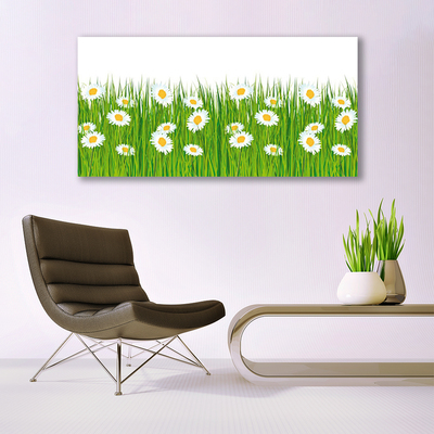 Schilderij op canvas Grass daisies nature