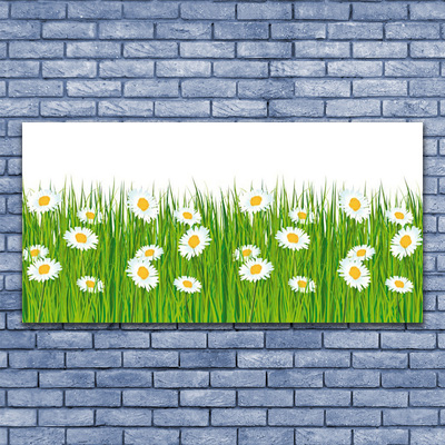 Schilderij op canvas Grass daisies nature