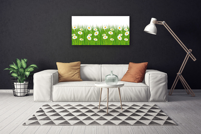 Schilderij op canvas Grass daisies nature