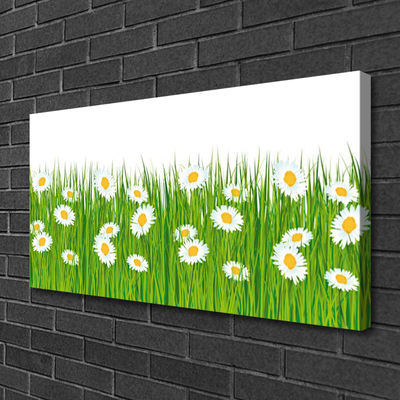 Schilderij op canvas Grass daisies nature