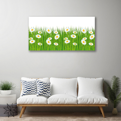 Schilderij op canvas Grass daisies nature