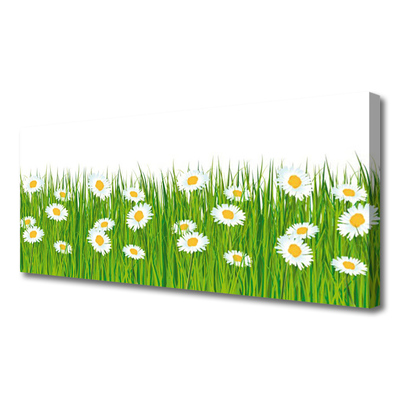 Schilderij op canvas Grass daisies nature