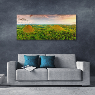 Schilderij op canvas Jungle forest nature