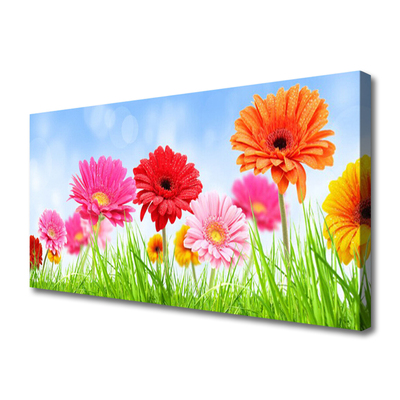 Schilderij op canvas Bloemen grass plant