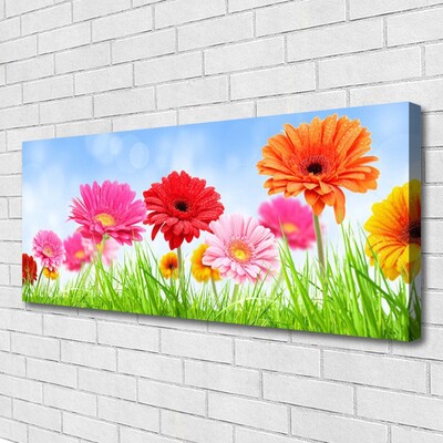 Schilderij op canvas Bloemen grass plant