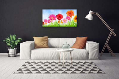 Schilderij op canvas Bloemen grass plant