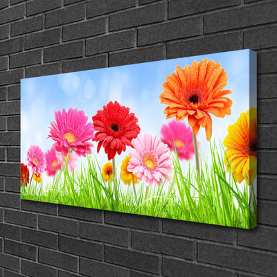 Schilderij op canvas Bloemen grass plant