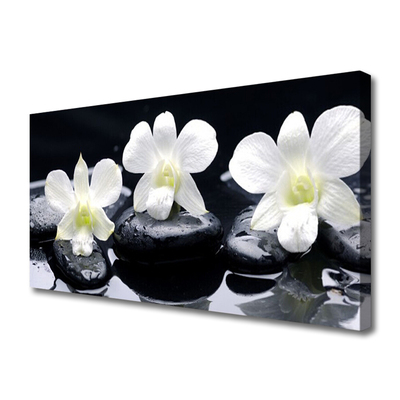 Schilderij op canvas Orchid plant stones