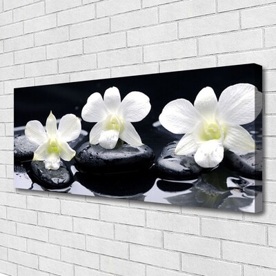 Schilderij op canvas Orchid plant stones