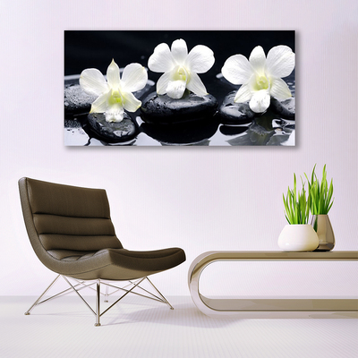 Schilderij op canvas Orchid plant stones